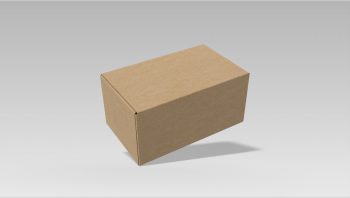 Folding Carton Boxes1